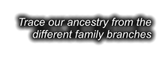 Trace our ancestry from the different family branches