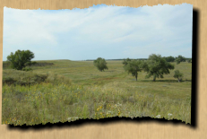 Sand Creek massacre site