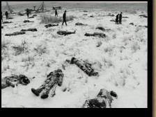 Victims of the 1890 Wounded Knee massacre